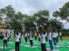 11th Yoga Day