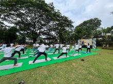 11th Yoga Day