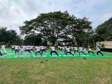 11th Yoga Day