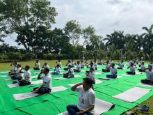 11th Yoga Day